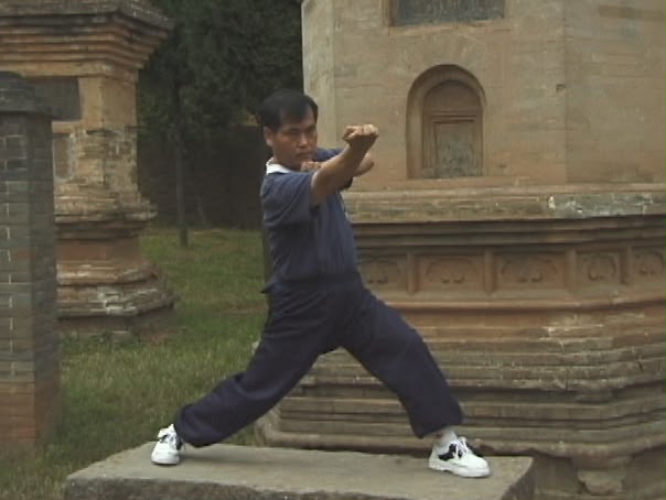 Chang Hong stance and hand-form practice